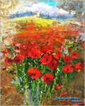 James Coleman James Coleman Poppy Impressions (SN)